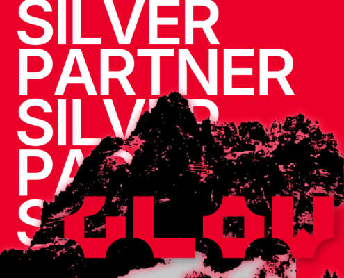 Silver Partner 2026