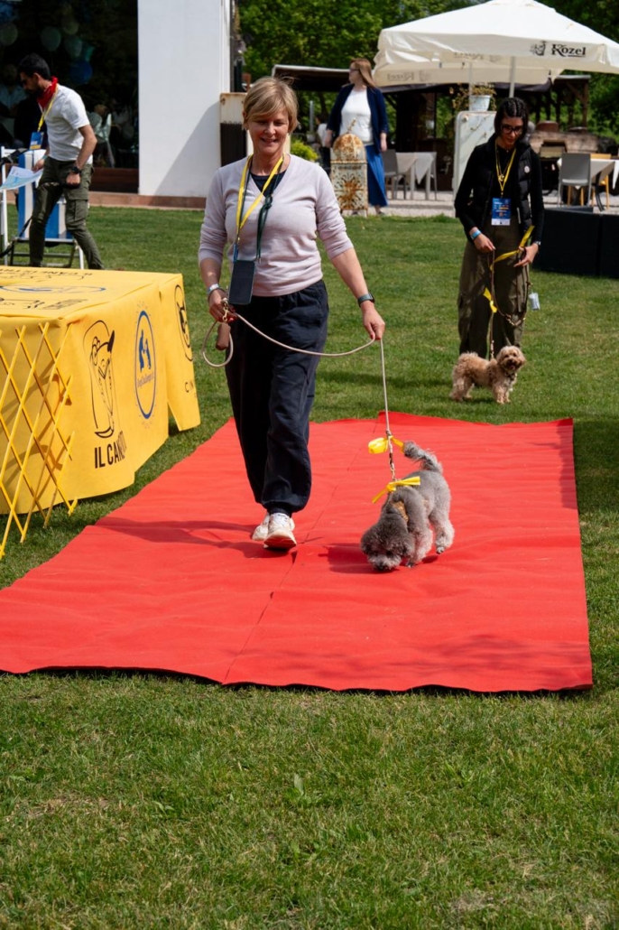 WhatsApp Image 2026-07-16 at 15.48.14 Il Cane Istruito